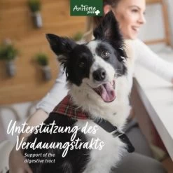 Aniforte Plus Magen & Darm 90 Tabletten 9 Aniforte Plus Magen & Darm 90 Tabletten -Heimtier Verkauf ee4705a2057b1edfe526ac54d24ab38e77b08466 1455900 de DE 5c17b7bc229b49c1931595cd931e95f6c72ef6cddQne1A