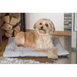 TrendPet Heaven Gefütterte Liegedecke XS -Heimtier Verkauf eeac72893e6fc1692791e5ac1c12acc1251b66a9 1288886 de DE 56c51deb9c92a13851c57b095620f42ccef1f493aZKJBW