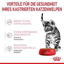 ROYAL CANIN KITTEN STERILISED In Soße 12 X 85g -Heimtier Verkauf f17e534b080d5c9cc35e30c23712b229f48b5cbe 1298264 de DE Kittenster 4
