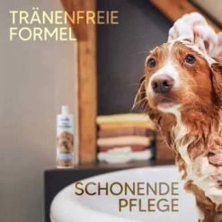 Pawlie's Welpenshampoo -Heimtier Verkauf f56801adb1bee6d0b5fdd328d641fa773ce5d4c4 1626204 de DE 7b87b87a2e48e8c0e12b98c918c4d75b538aae40E5TfEc