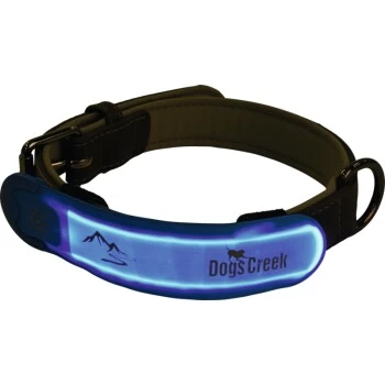 Dogs Creek Leuchtklettsticker Kuma Blau/ Türkis 4 Dogs Creek Leuchtklettsticker Kuma Blau/ Türkis – Bild 2