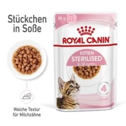 ROYAL CANIN KITTEN STERILISED In Soße 12 X 85g -Heimtier Verkauf f6d4dabce24b333a2a89201cbea74ed45a24bd10 1298264 de DE Kittenster 2