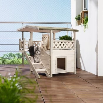 AniOne Katzenhaus Lodge 4 AniOne Katzenhaus Lodge â Bild 2