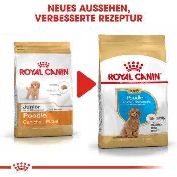 ROYAL CANIN Poodle Puppy 3kg 6 ROYAL CANIN Poodle Puppy 3kg – Bild 4