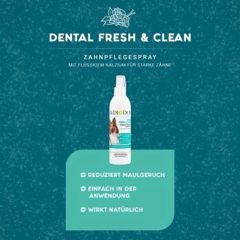 MediDog Dental Fresh & Clean 5 MediDog Dental Fresh & Clean – Bild 3
